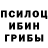 Галлюциногенные грибы ЛСД Ali Zel