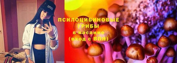 гидра Бородино