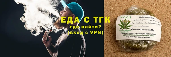 гидра Бородино