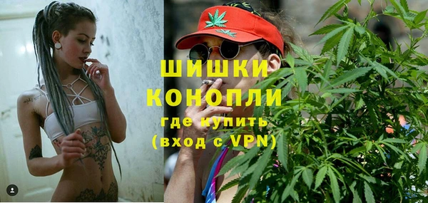 гидра Бородино
