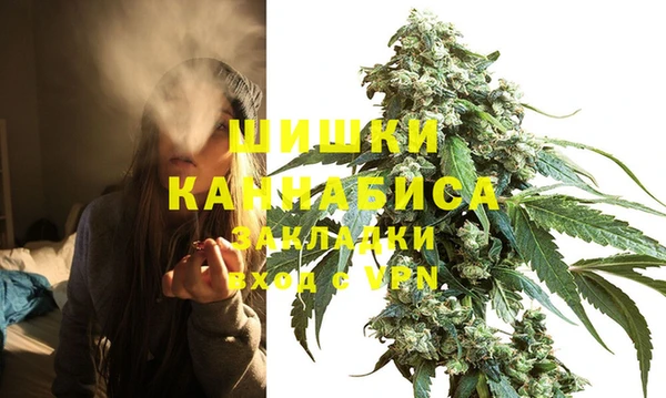 стаф Верхний Тагил