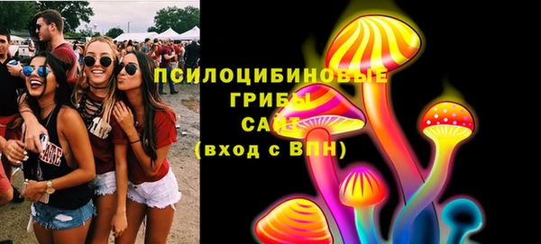 гидра Бородино