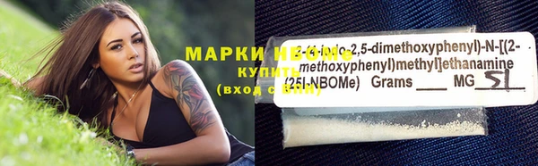 гидра Бородино